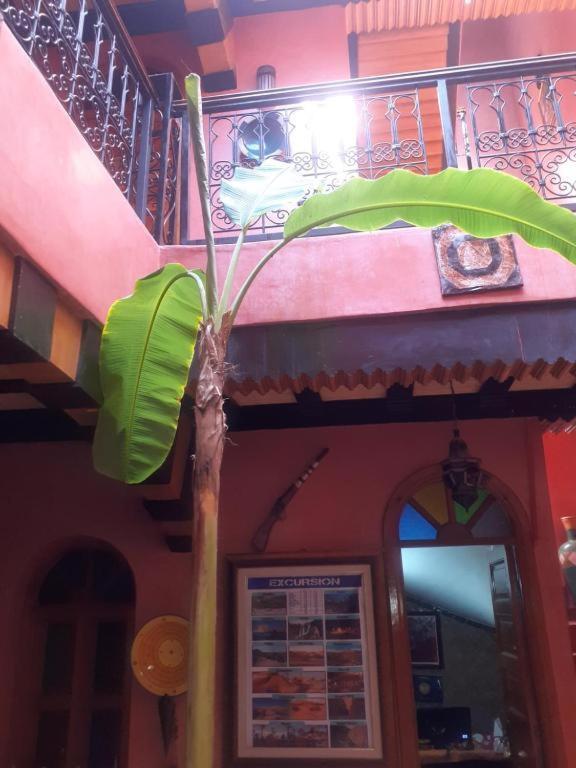 مراكش Riad Hanafi المظهر الخارجي الصورة