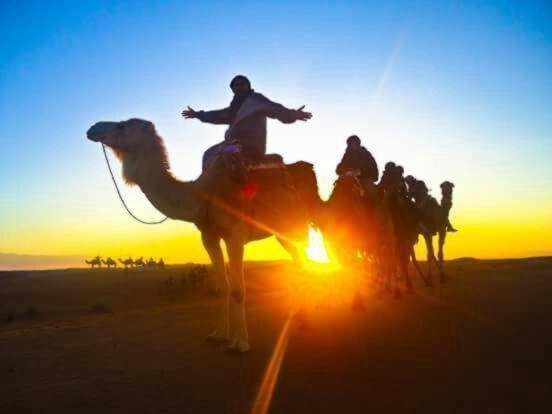 مراكش Riad Hanafi المظهر الخارجي الصورة